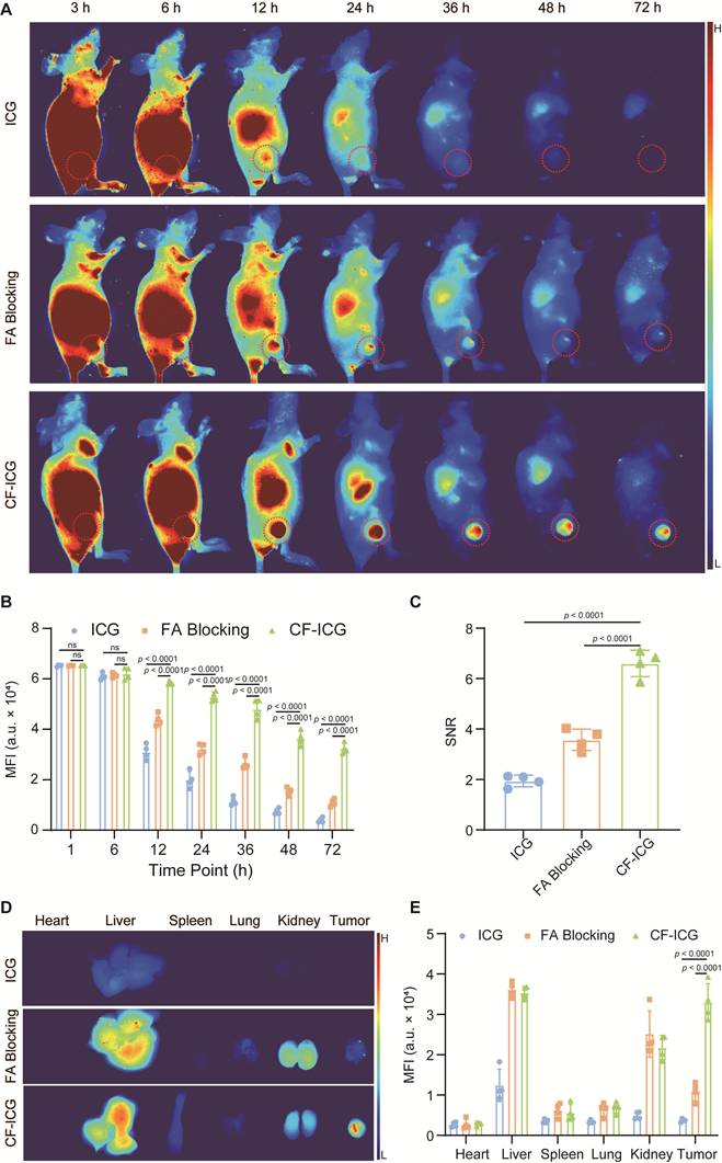 Theranostics Image
