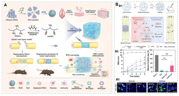 Theranostics Image