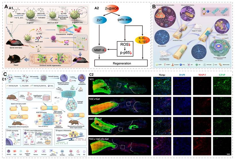 Theranostics Image
