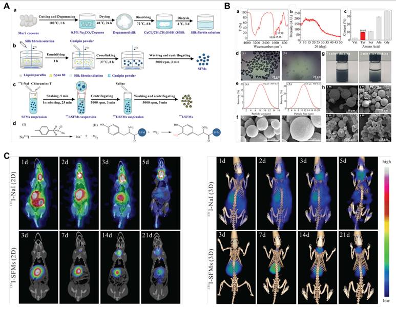 Theranostics Image