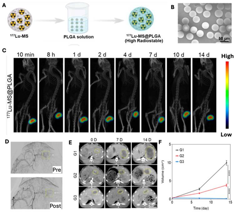 Theranostics Image