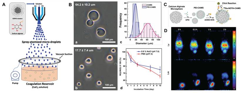Theranostics Image