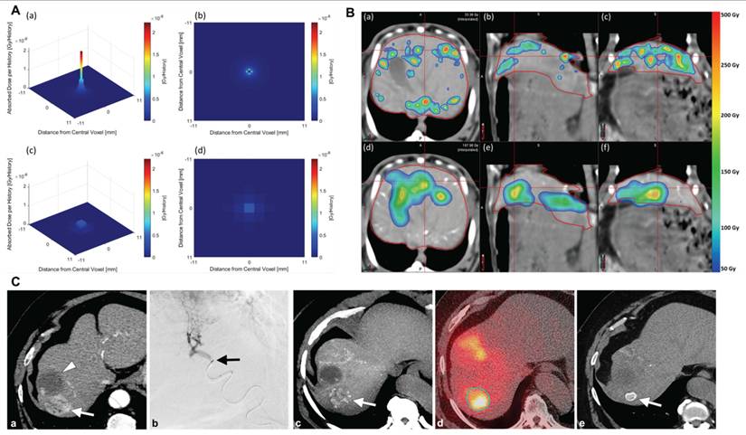 Theranostics Image
