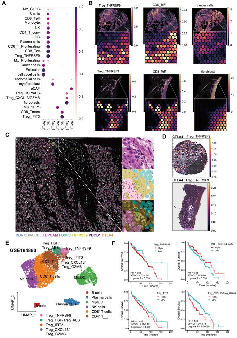 Theranostics Image