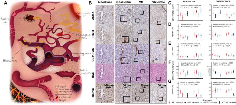 Theranostics Image