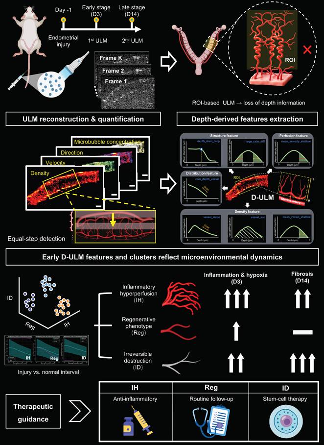 Theranostics Image