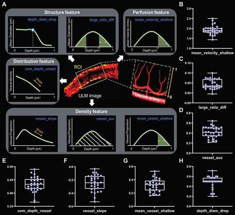Theranostics Image