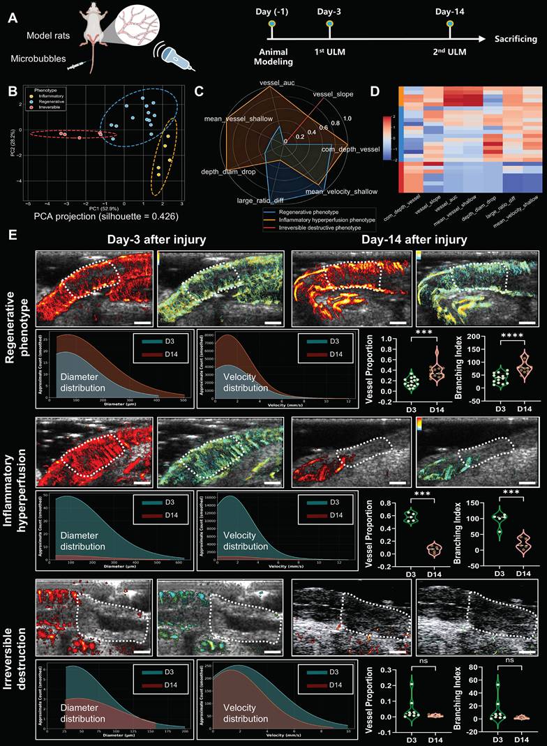 Theranostics Image