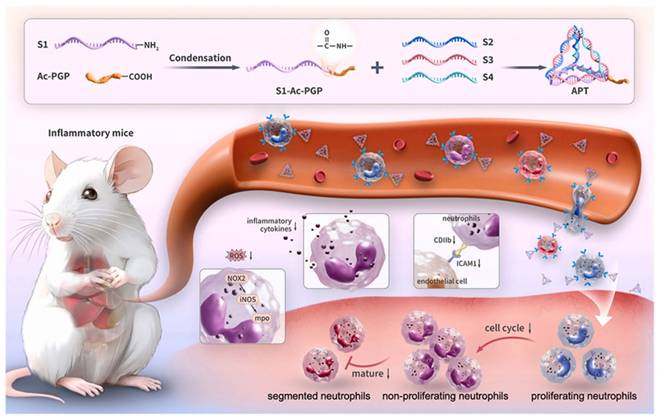 Theranostics Image
