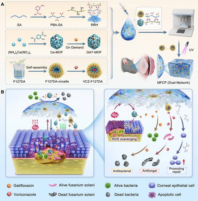 Theranostics Image
