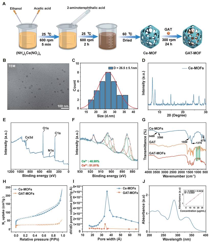 Theranostics Image