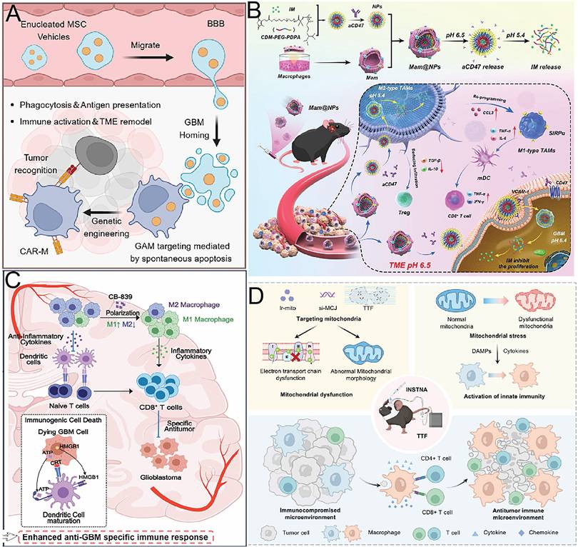 Theranostics Image