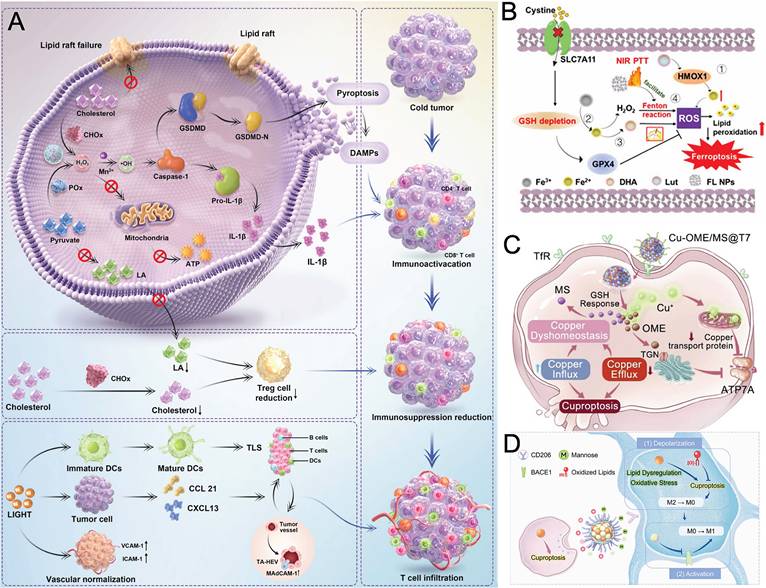 Theranostics Image