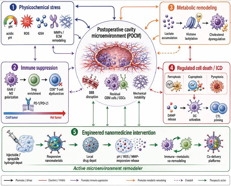 Theranostics Image