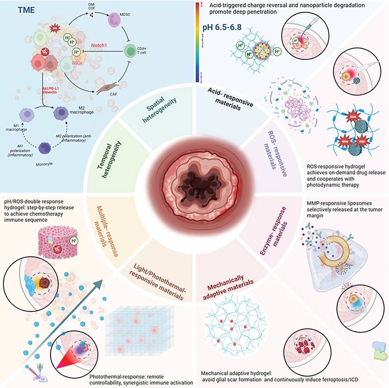 Theranostics Image