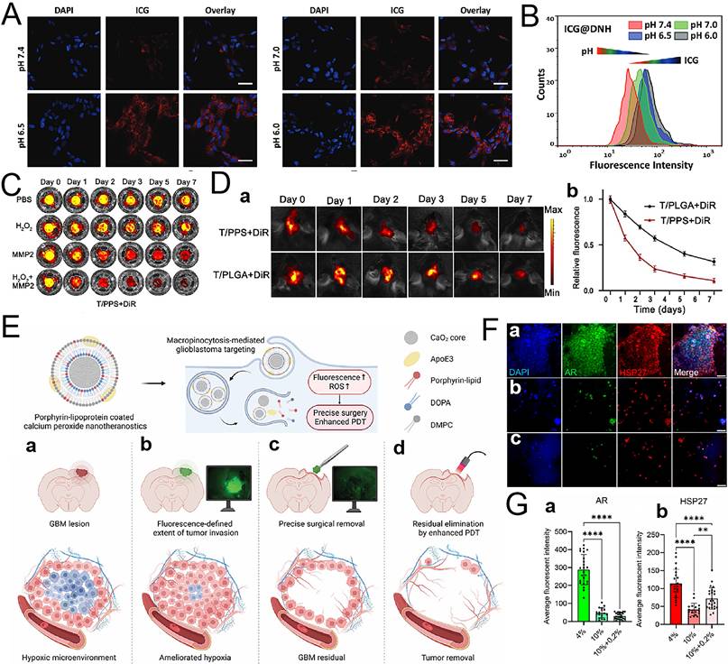 Theranostics Image