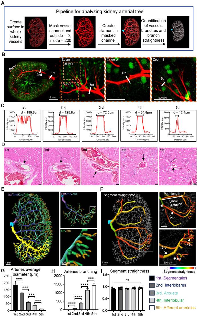 Theranostics Image