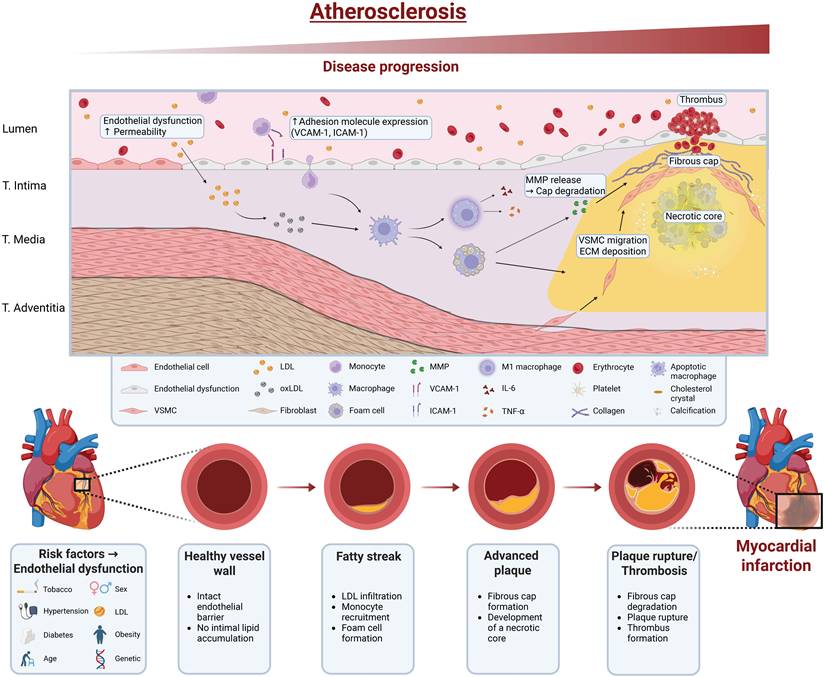 Theranostics Image