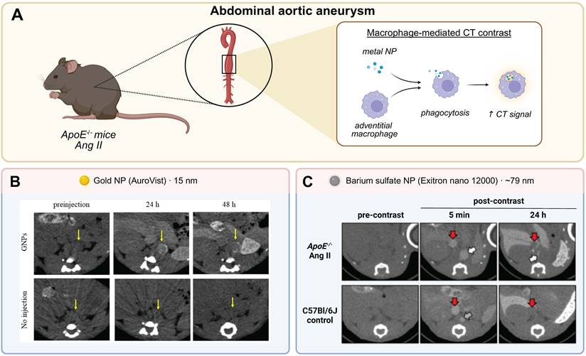 Theranostics Image