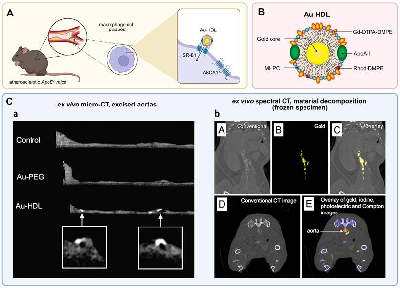 Theranostics Image