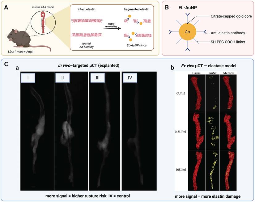 Theranostics Image
