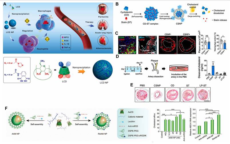 Theranostics Image