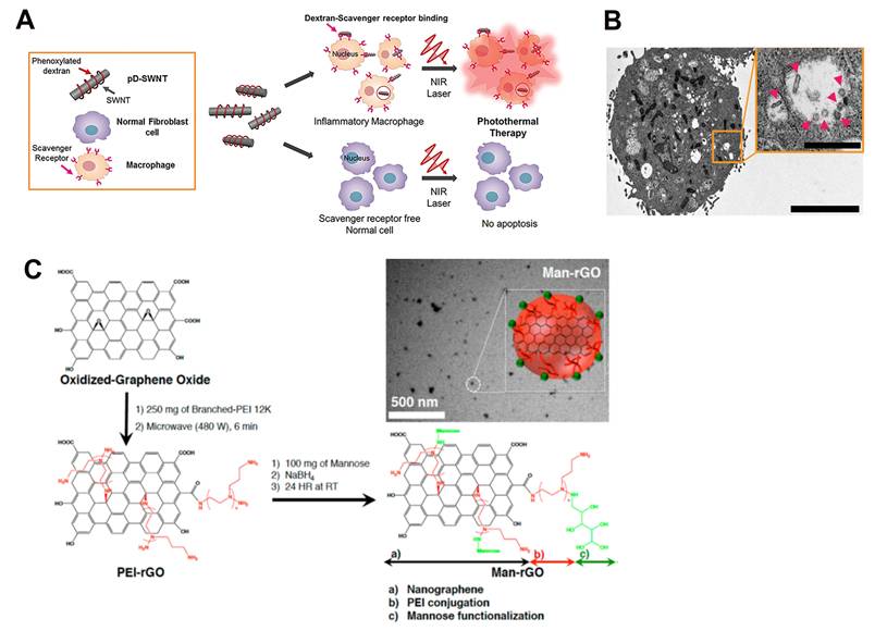 Theranostics Image