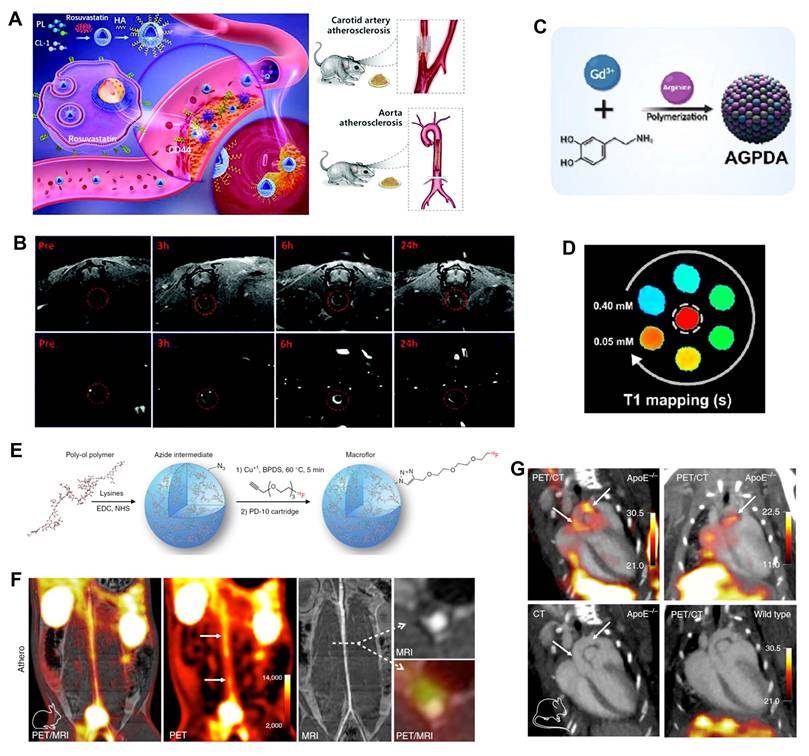 Theranostics Image