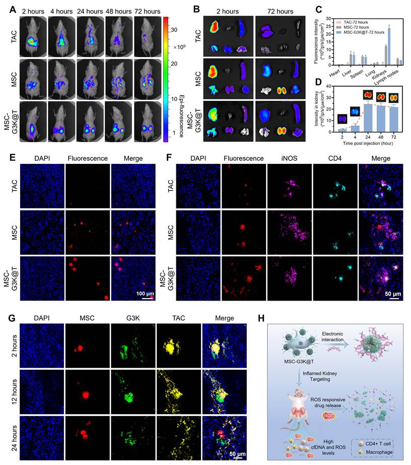 Theranostics Image