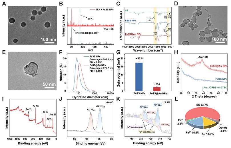 Theranostics Image