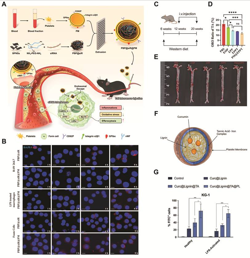 Theranostics Image