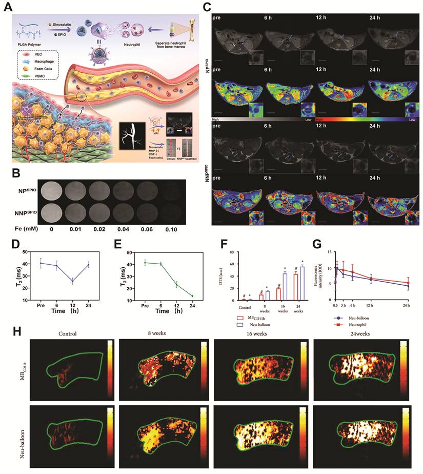 Theranostics Image