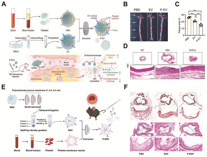 Theranostics Image