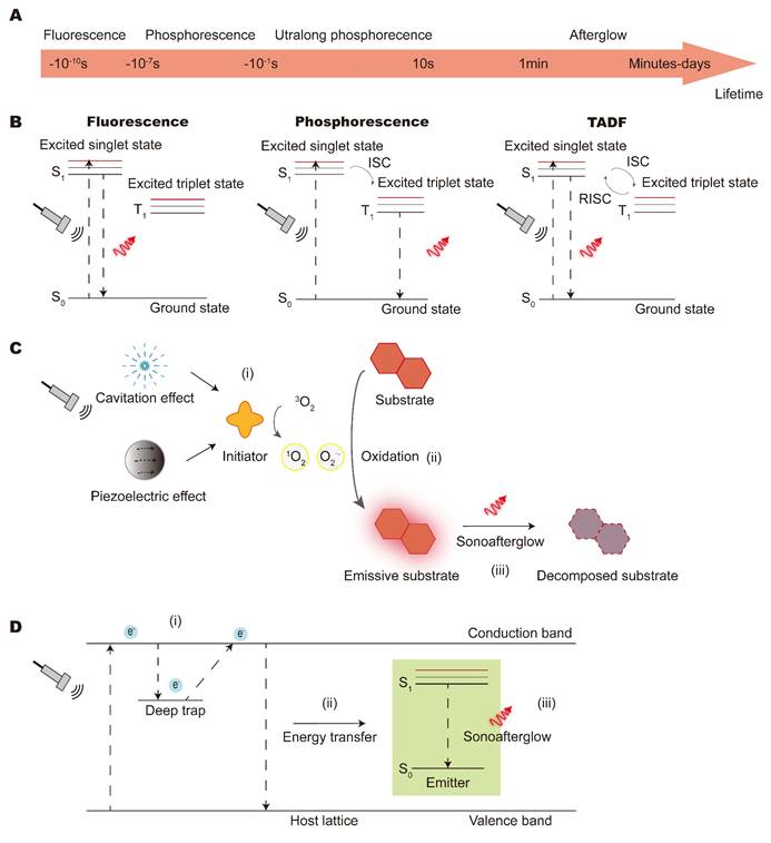 Theranostics Image