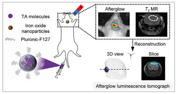Theranostics Image