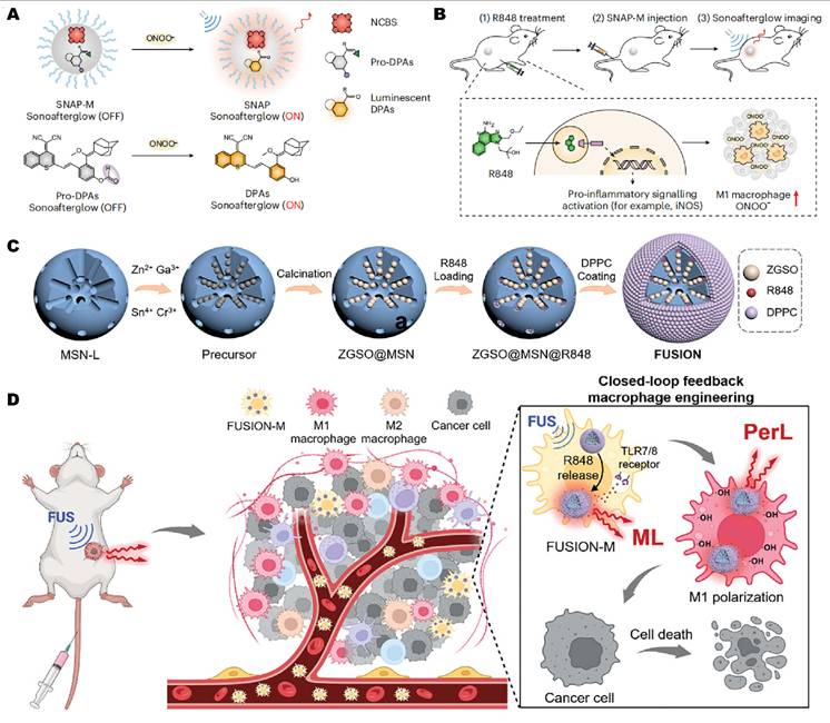 Theranostics Image