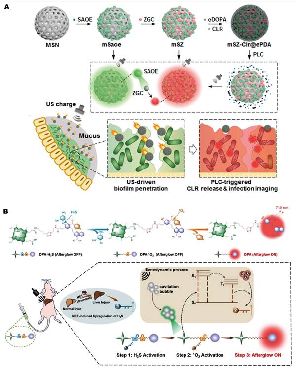 Theranostics Image