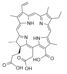 Theranostics inline graphic