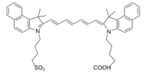 Theranostics inline graphic