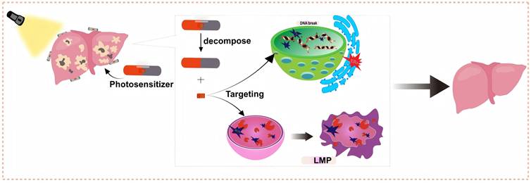 Theranostics Image