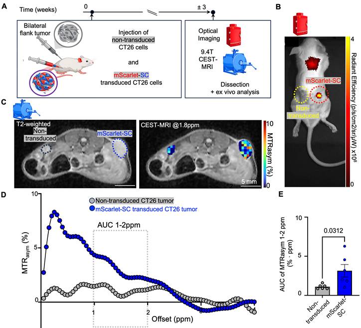Theranostics Image