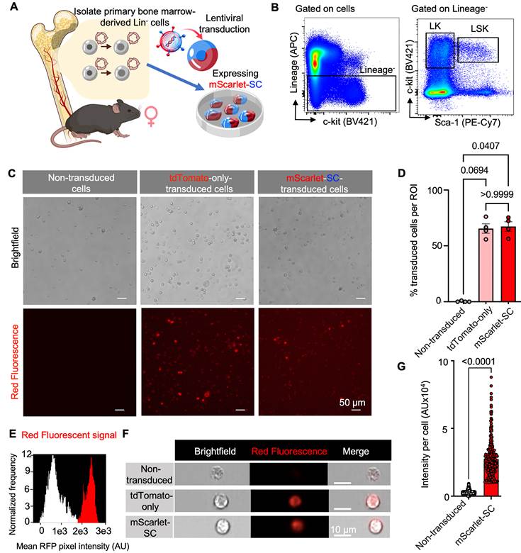 Theranostics Image