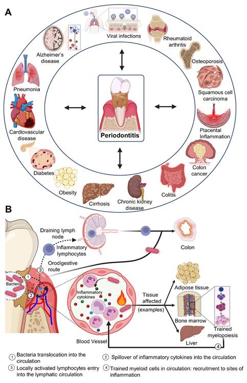 Theranostics Image