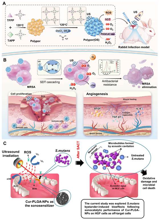 Theranostics Image