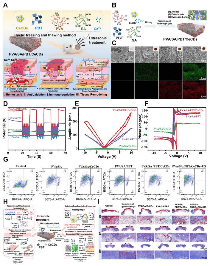 Theranostics Image
