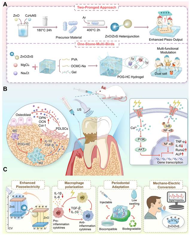 Theranostics Image