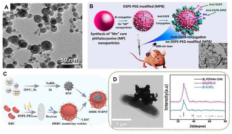 Theranostics Image