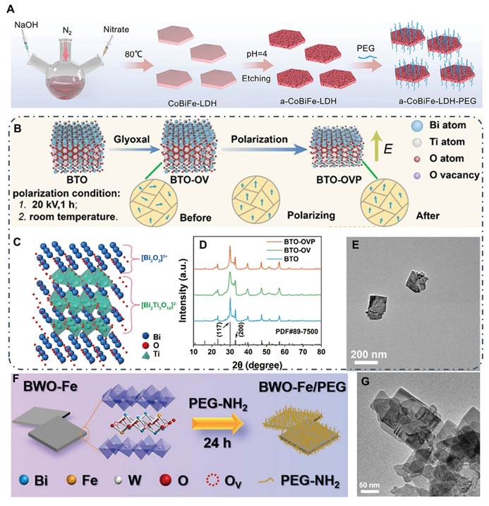 Theranostics Image