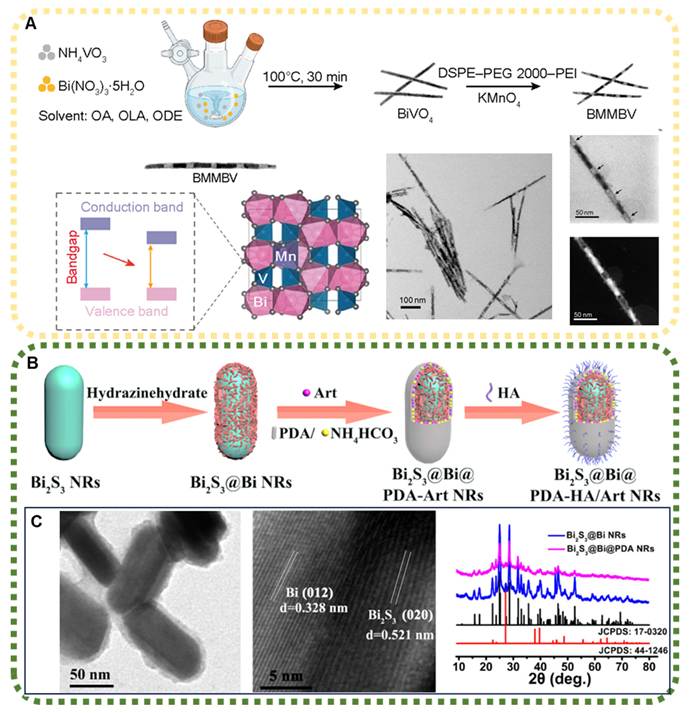 Theranostics Image