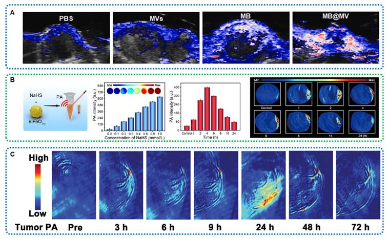 Theranostics Image